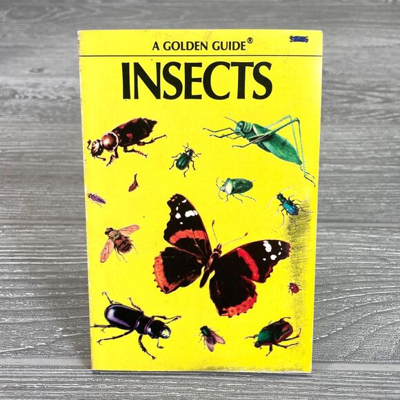 Vintage 1950s Golden Guide Insects Nature Book Detailed Realistic Illustrations - Picture 2 of 10